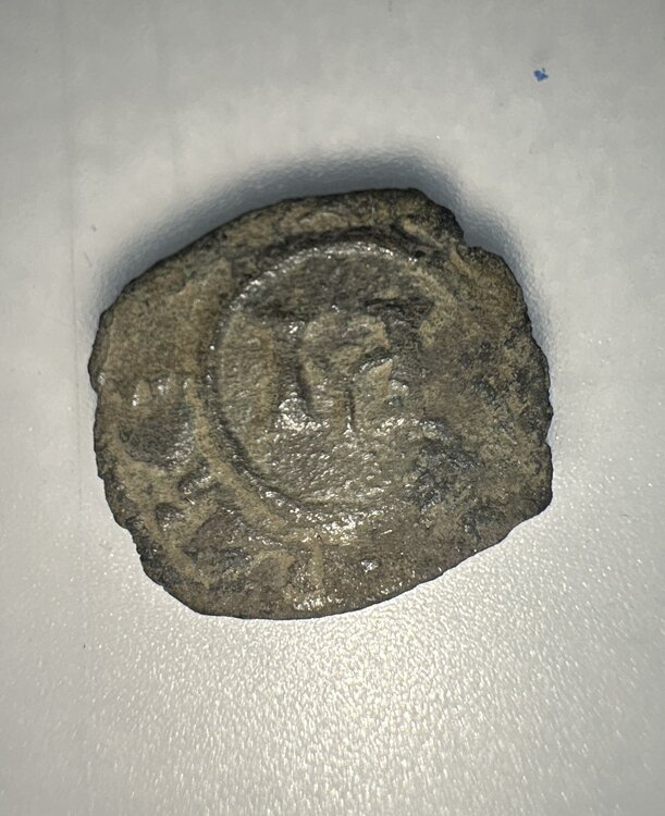 Denaro Manfredi-min.jpg