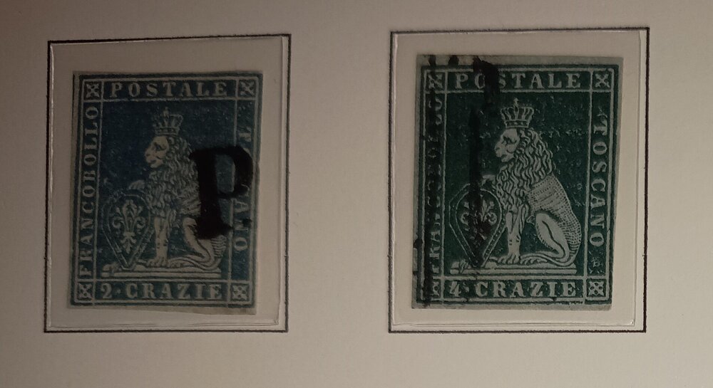 IMG_20250613_224444140 (1) (1).jpg