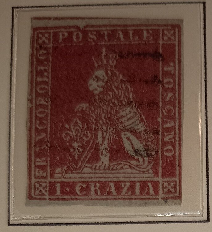 IMG_20250613_225122935 (1).jpg