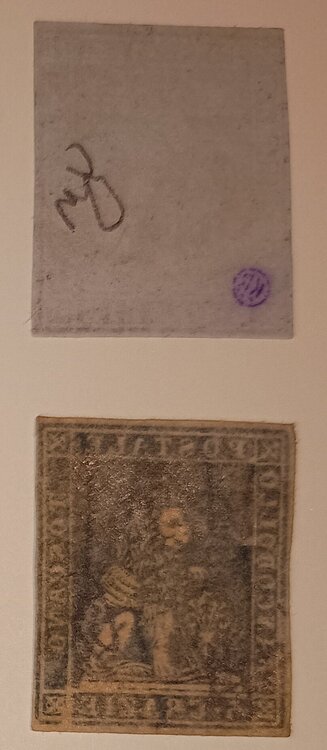 IMG_20250615_213559326 (1).jpg