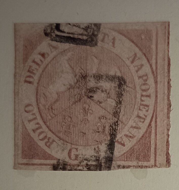 IMG_20250620_075404704 (1).jpg