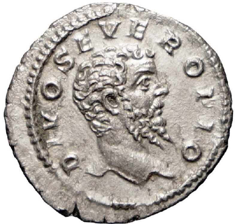 Immagine 2023-05-13 100748.jpg