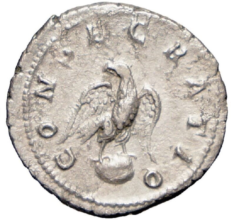 Immagine 2023-05-13 100835.jpg