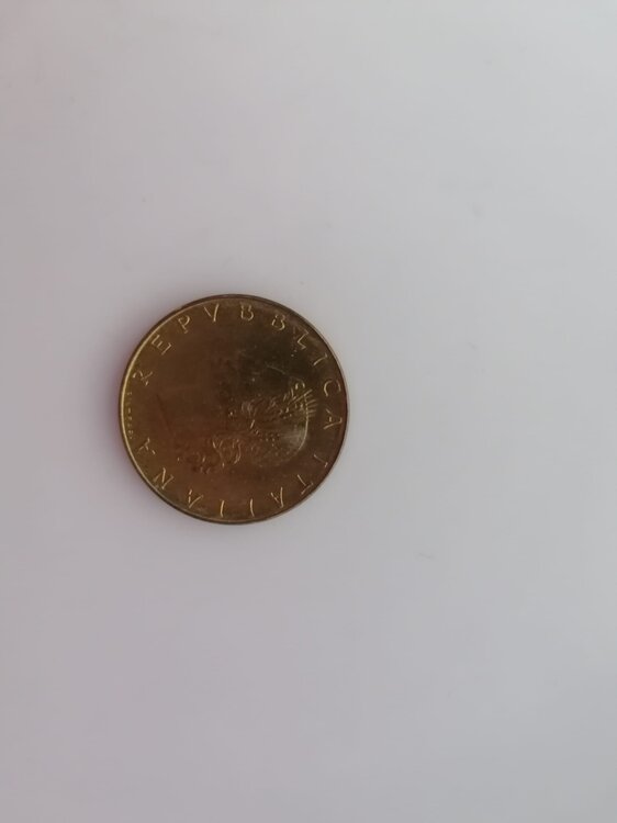 Immagine WhatsApp 2025-06-26 ore 15.54.14_7fbe316f.jpg