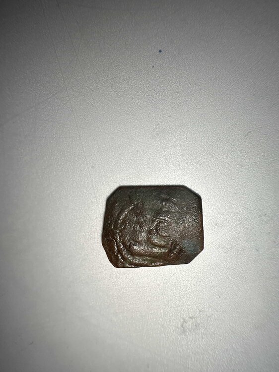 Moneta ottagonale-min.jpg