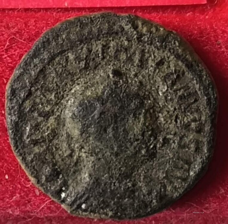 WhatsApp Image 2025-06-30 at 15.07.41.jpeg