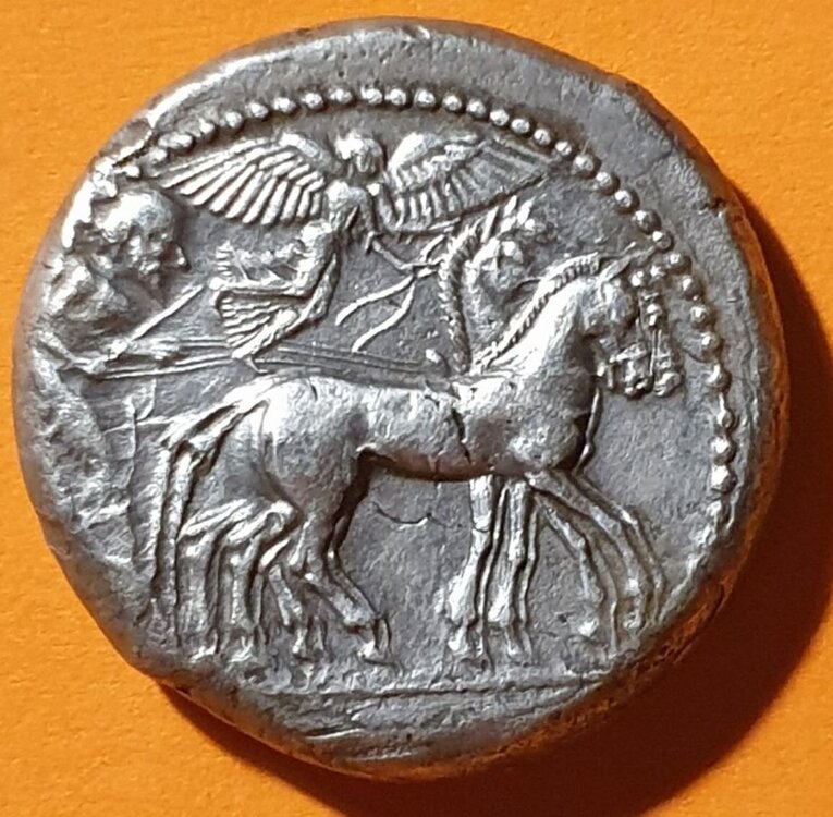 tetrad syracuse b.jpg