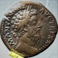 Pxacaesar