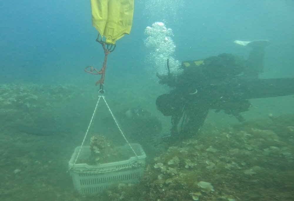 GX018965 - frame at 2m22s~2.jpg