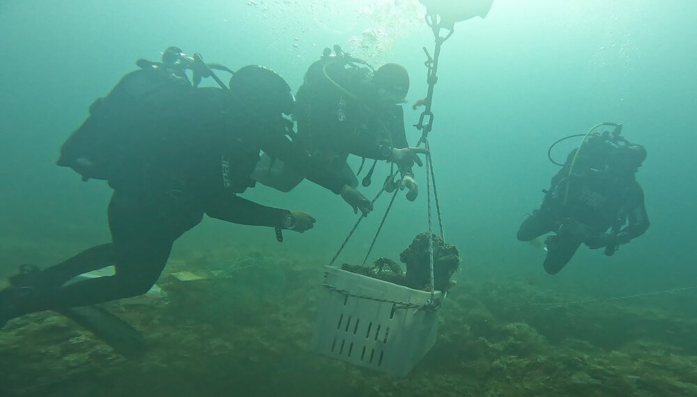 GX018997 - frame at 1m36s~2.jpg