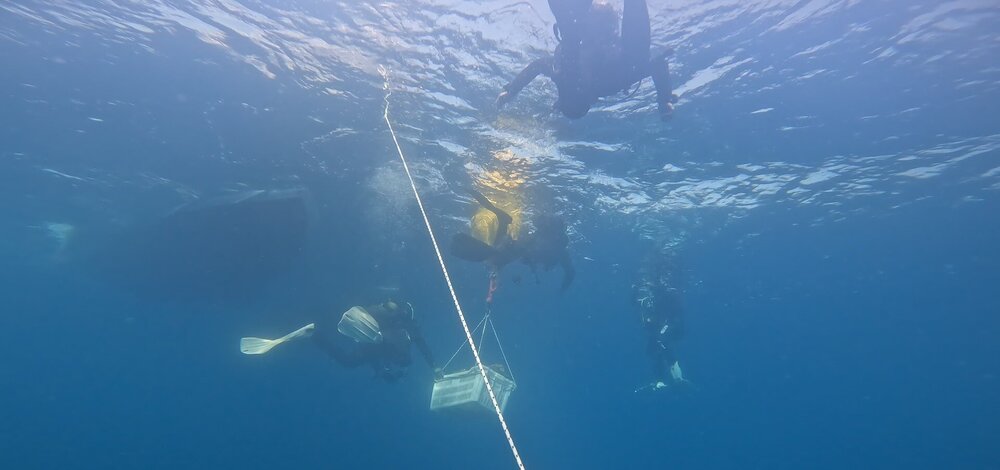 GX019002 - frame at 0m3s~2.jpg