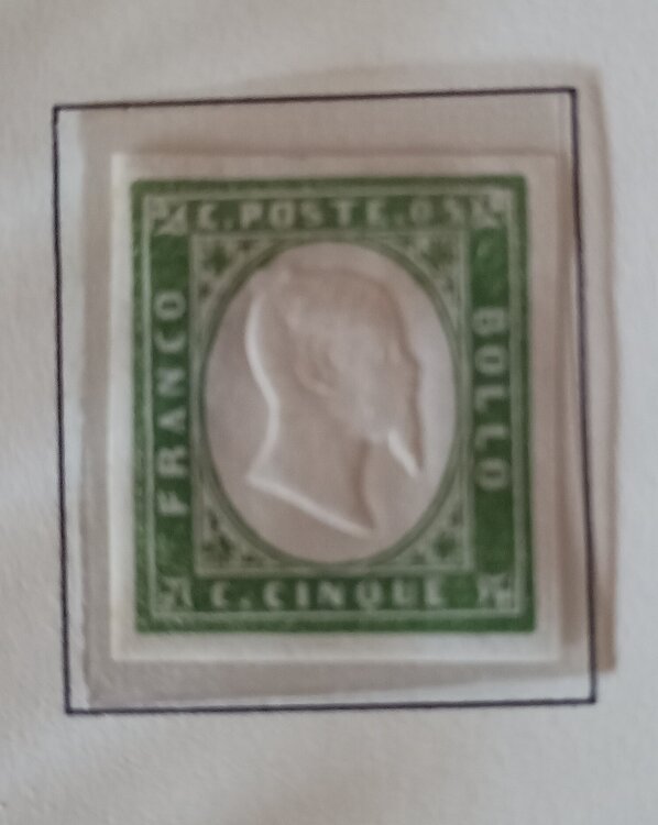 IMG_20250701_193153074 (1).jpg