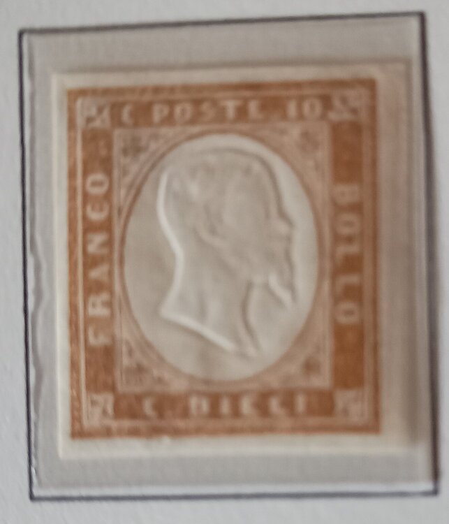 IMG_20250701_193156433 (1).jpg