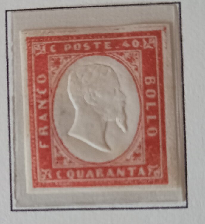 IMG_20250701_193202063 (1).jpg