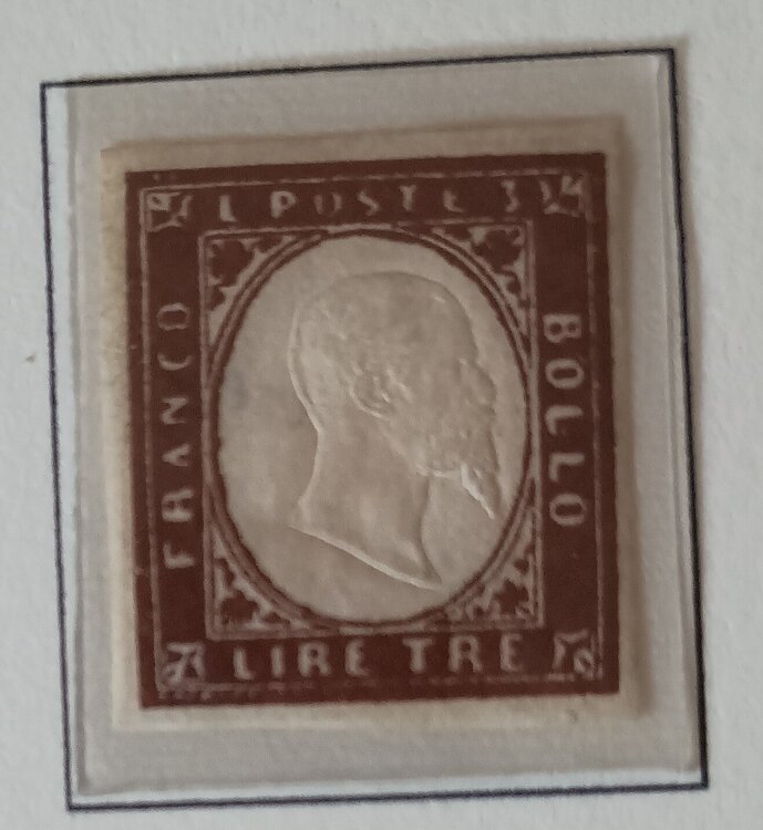 IMG_20250701_193208208 (1).jpg