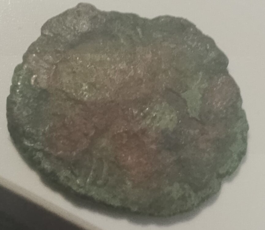 WhatsApp Image 2025-07-24 at 11.46.01.jpeg