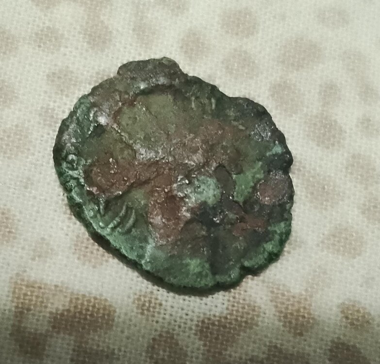 WhatsApp Image 2025-07-24 at 18.44.40.jpeg