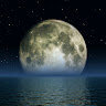 Luna77