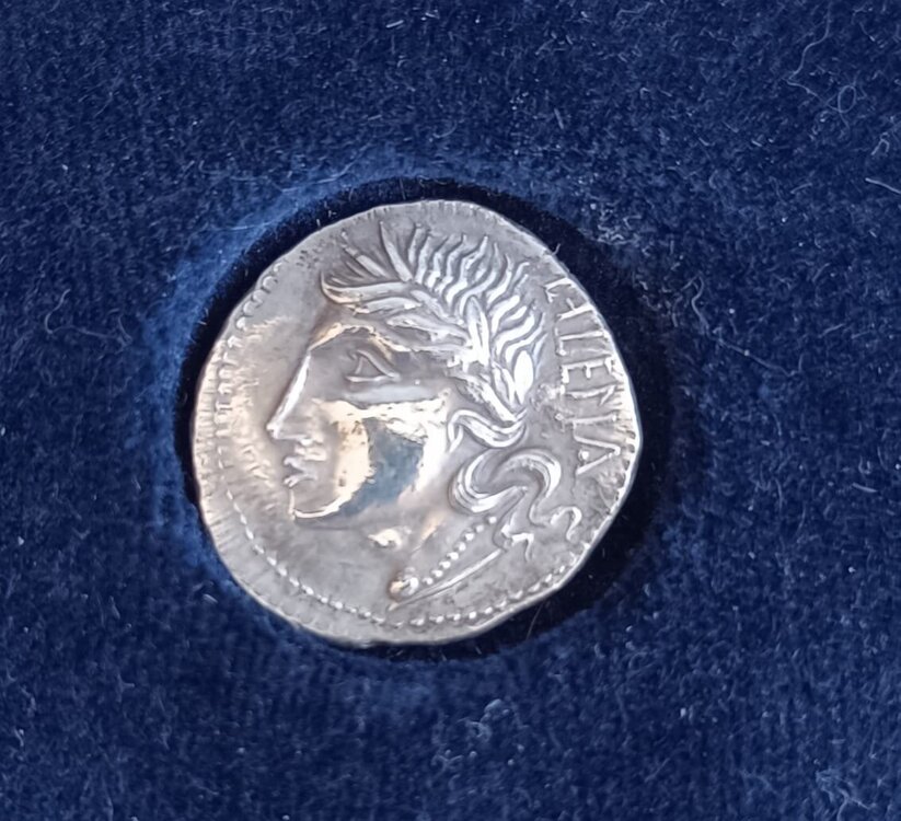 Immagine WhatsApp 2025-08-09 ore 14.24.20_d2540ca3.jpg