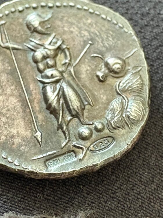 Immagine WhatsApp 2025-08-10 ore 09.01.33_afdaaa8d.jpg