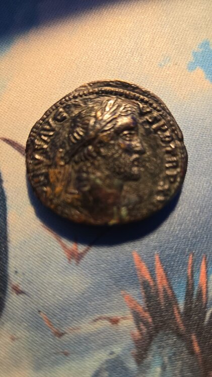 Immagine WhatsApp 2025-08-19 ore 13.31.48_47645a63.jpg