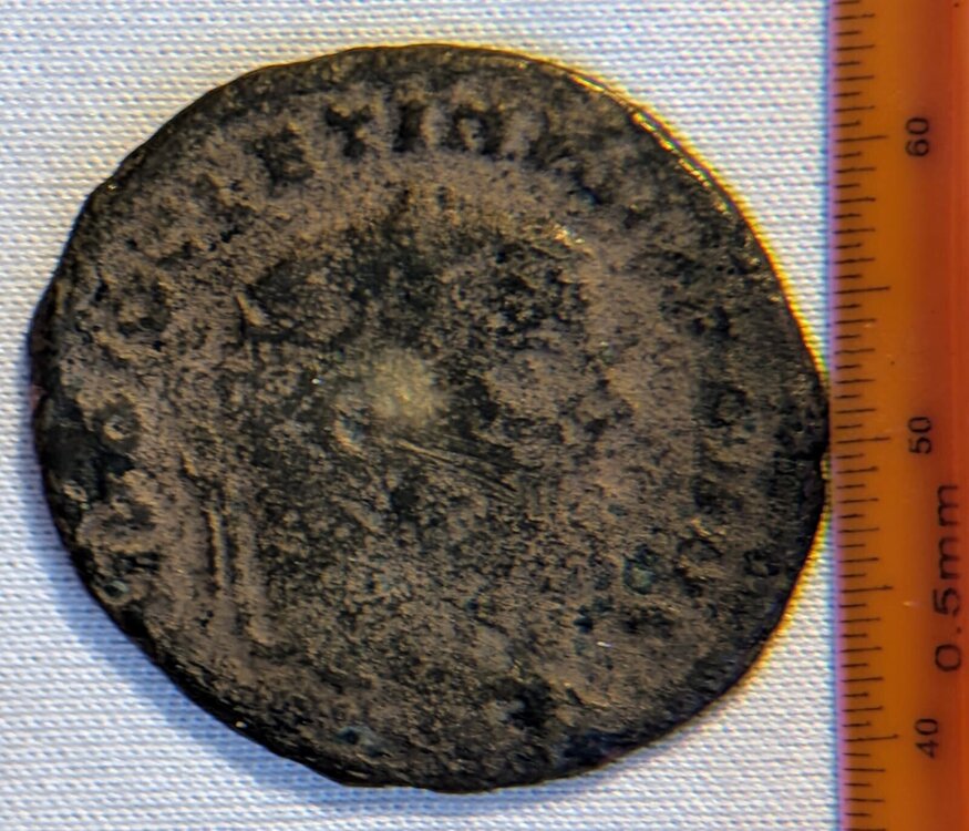 Immagine WhatsApp 2025-08-27 ore 12.14.22_289c8c98.jpg