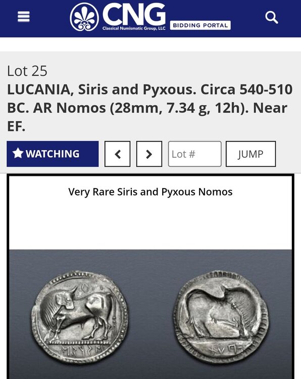 Screenshot_20250816-083449_Samsung Internet~2.jpg