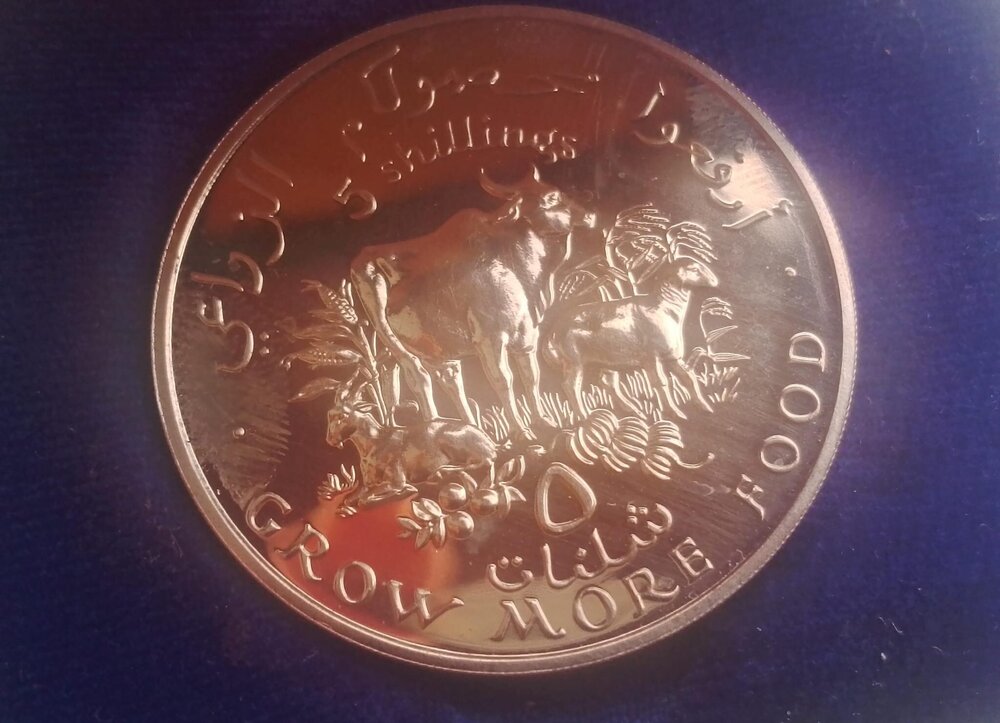 WhatsApp Image 2025-08-01 at 13.37.11.jpeg