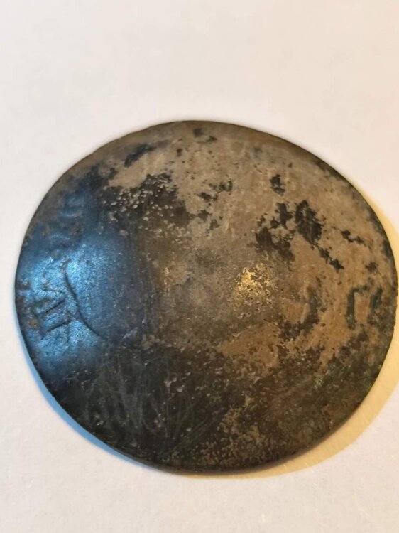 Adobe Express - file (2).jpg