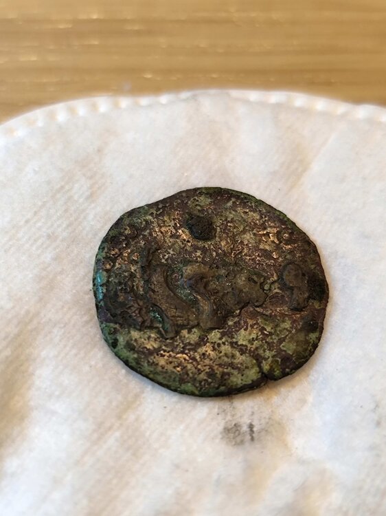 Adobe Express - file (4).jpg