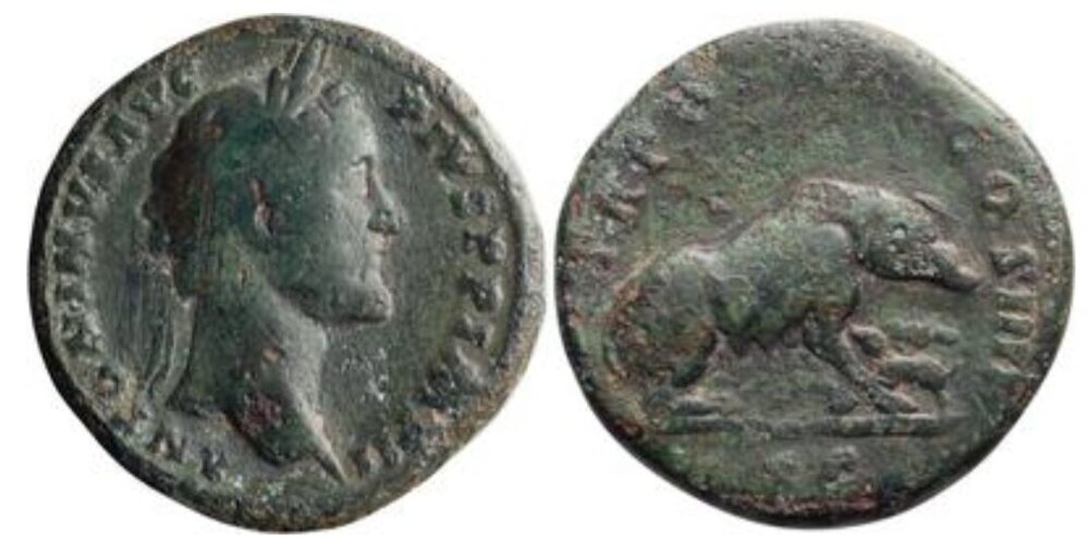 Screenshot_20250921_163940_Samsung Internet.jpg