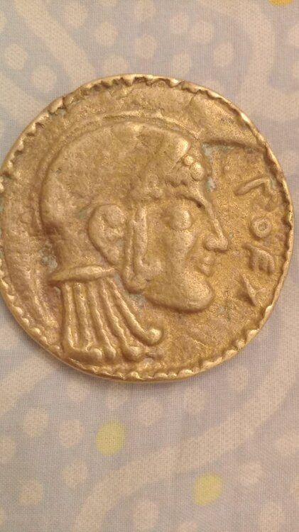 WhatsApp Image 2025-09-11 at 14.33.19.jpeg