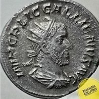 Pxacaesar