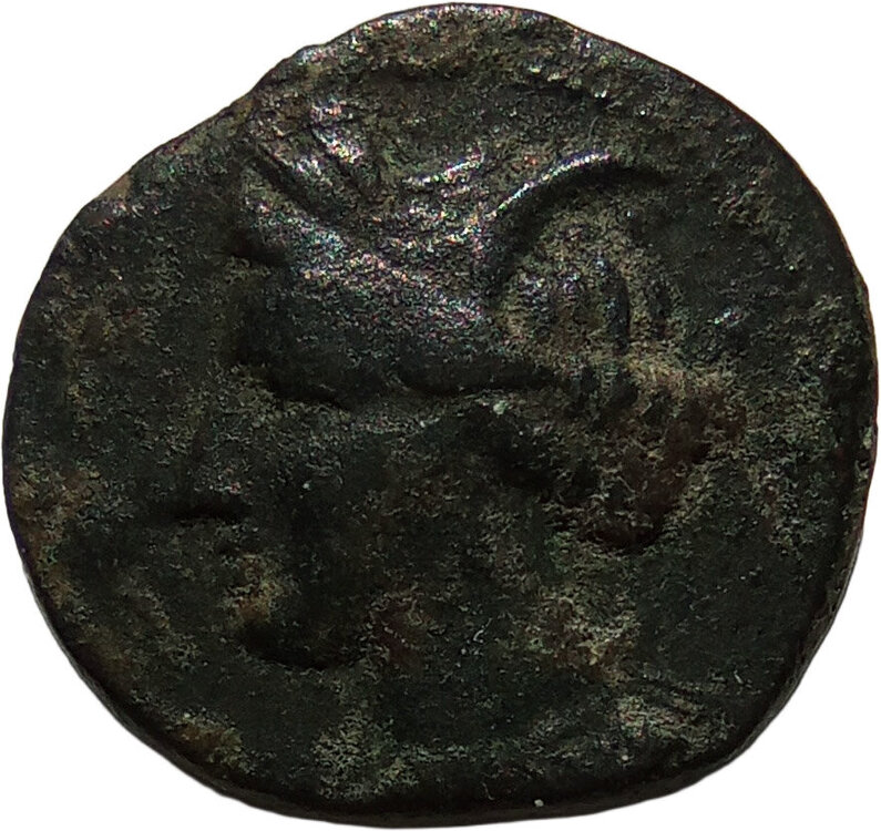 20e Moneta Punica_1b_Testa_di_Tanit_5_43gr_1_9cm (d).jpg