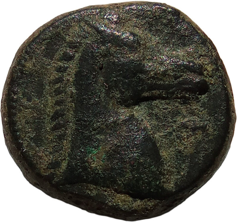 20e Moneta Punica_1b_Testa_di_Tanit_5_43gr_1_9cm (r).jpg