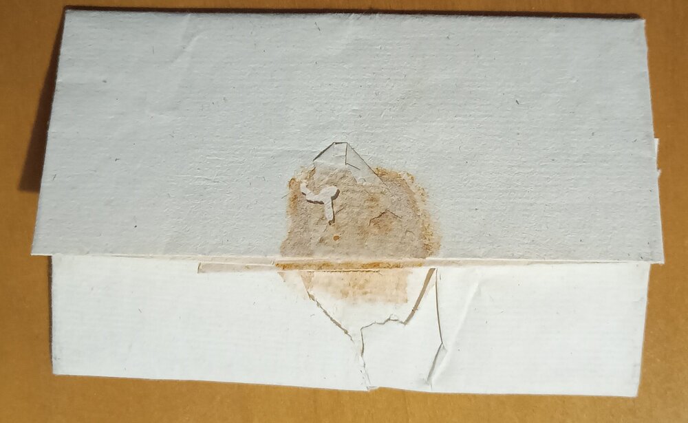 IMG_20251006_202317437 (1).jpg