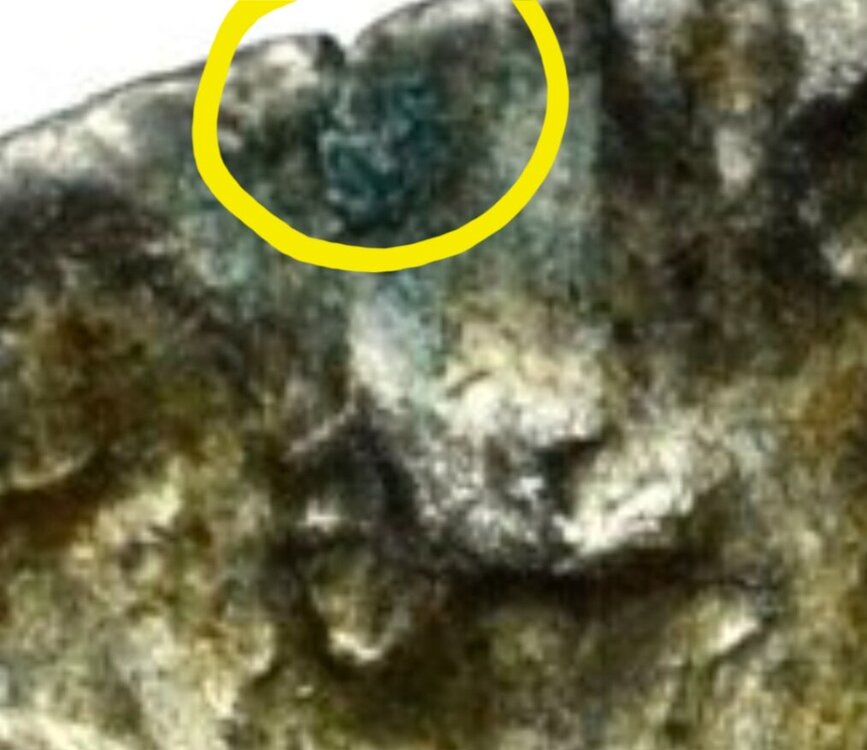 Screenshot_20251007_211523_Samsung Internet.jpg