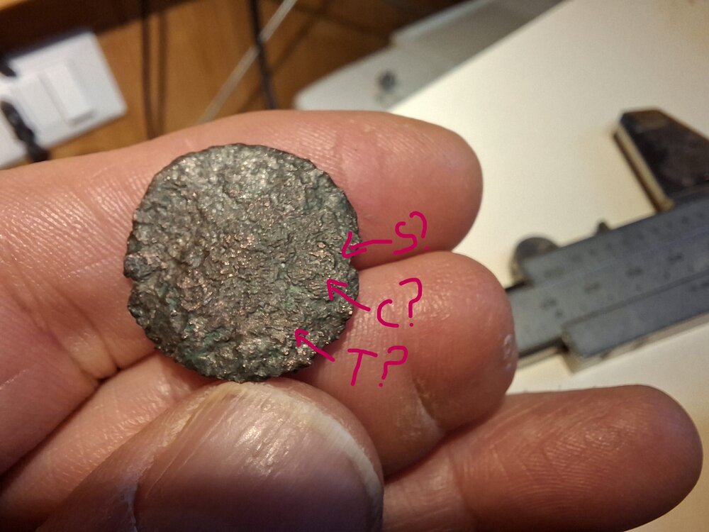 moneta con volto4.jpg