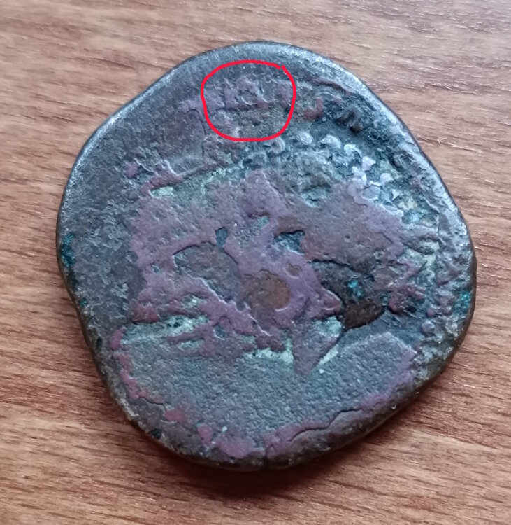 01ccc1ac-73f1-41de-ac7c-e4da293f1d58 - Copia.jpg