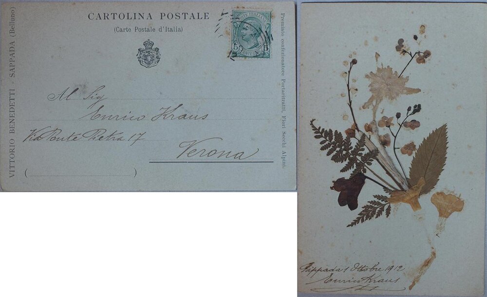 1912 - Cartolina postale con panse.jpg
