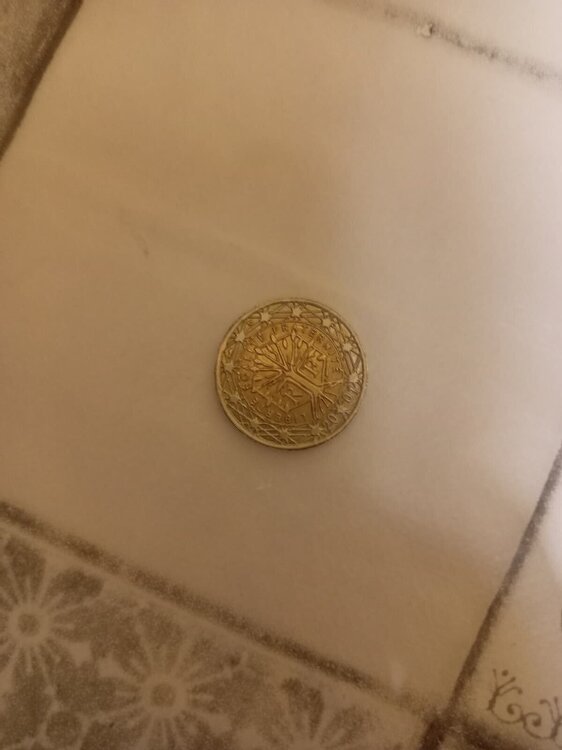 Immagine WhatsApp 2025-11-01 ore 20.42.52_ac896227.jpg