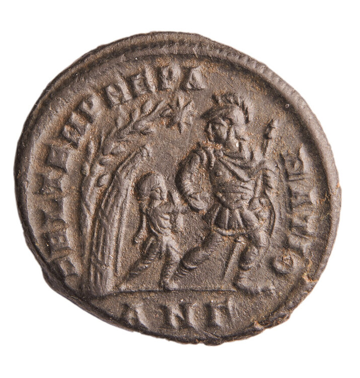 Maiorina Costante.jpg