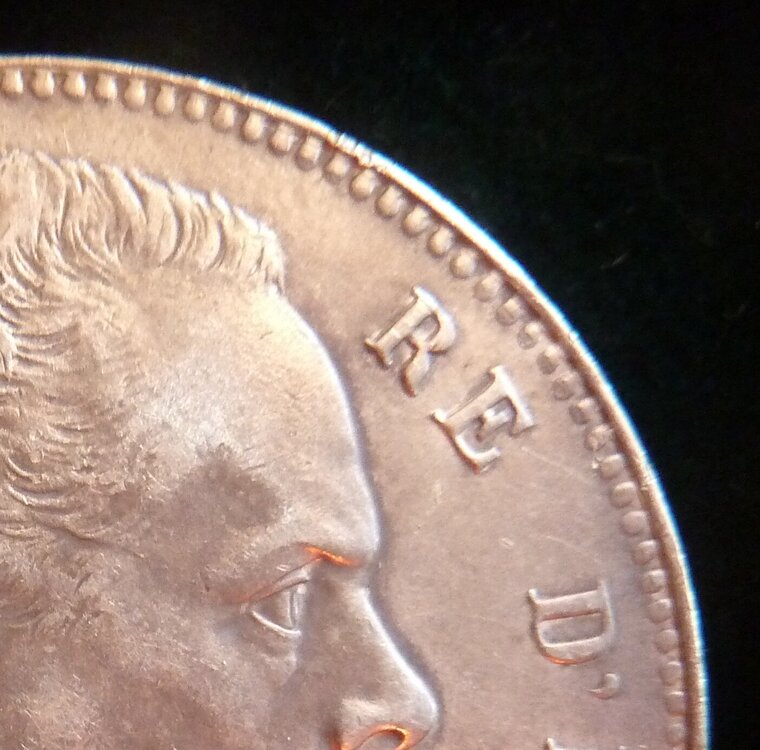 P1520653 - Copia.JPG