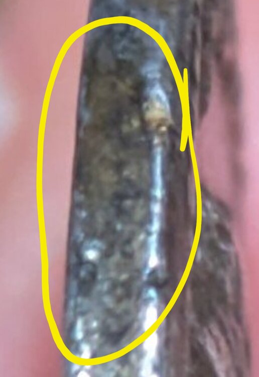 Screenshot_20251116_111619_Samsung Internet.jpg