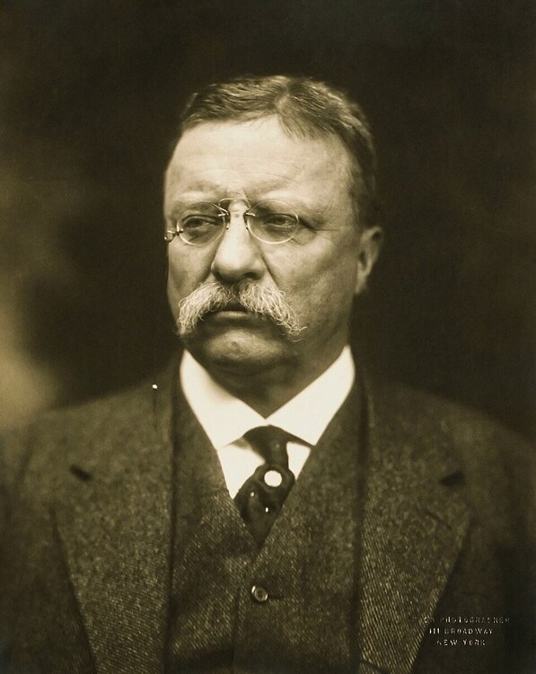 Theodore Roosevelt.jpg