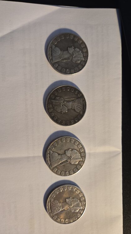 WhatsApp Image 2025-11-18 at 09.51.29.jpeg