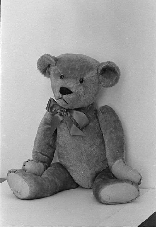 teddy bear original.jpg