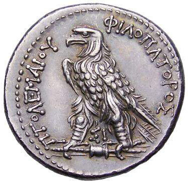 tetradracma TolomeoV EpifaneR.jpg