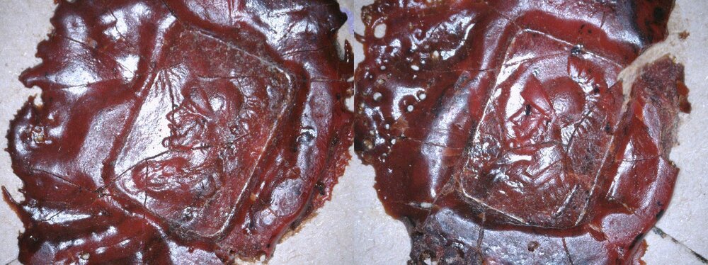 1890 - raccomandata particolare sigilli.jpg