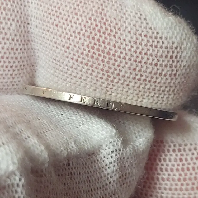 20251210_201248Monete Rare Italia.webp